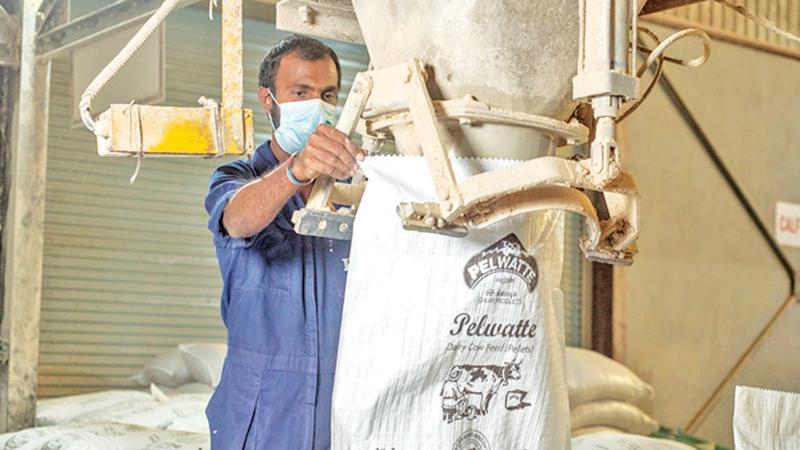 The process of Pelwatte animal feed manufacture is demanding in its nature due to the need for adherence to quality