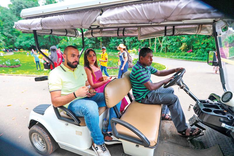 The Peradeniya Botanical Gardens is again drawing local and foreign guests and the authorities have also relaunched the value-added service ‘Go round the Garden’ in green vehicles.  Sri Lanka Railways also launched a special luxury  train leaving Colombo at 7 am and returning from Kandy at 4.15 pm permitting local and foreign tourists to visit Kandy and return the same day. Here some tourists on a trip in the Botanical Gardens vehicle.  Pic:  Sulochana Gamage