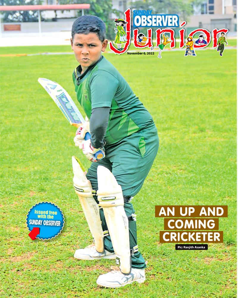 AN up and coming Cricketer. Pic: Ranjith Asanka