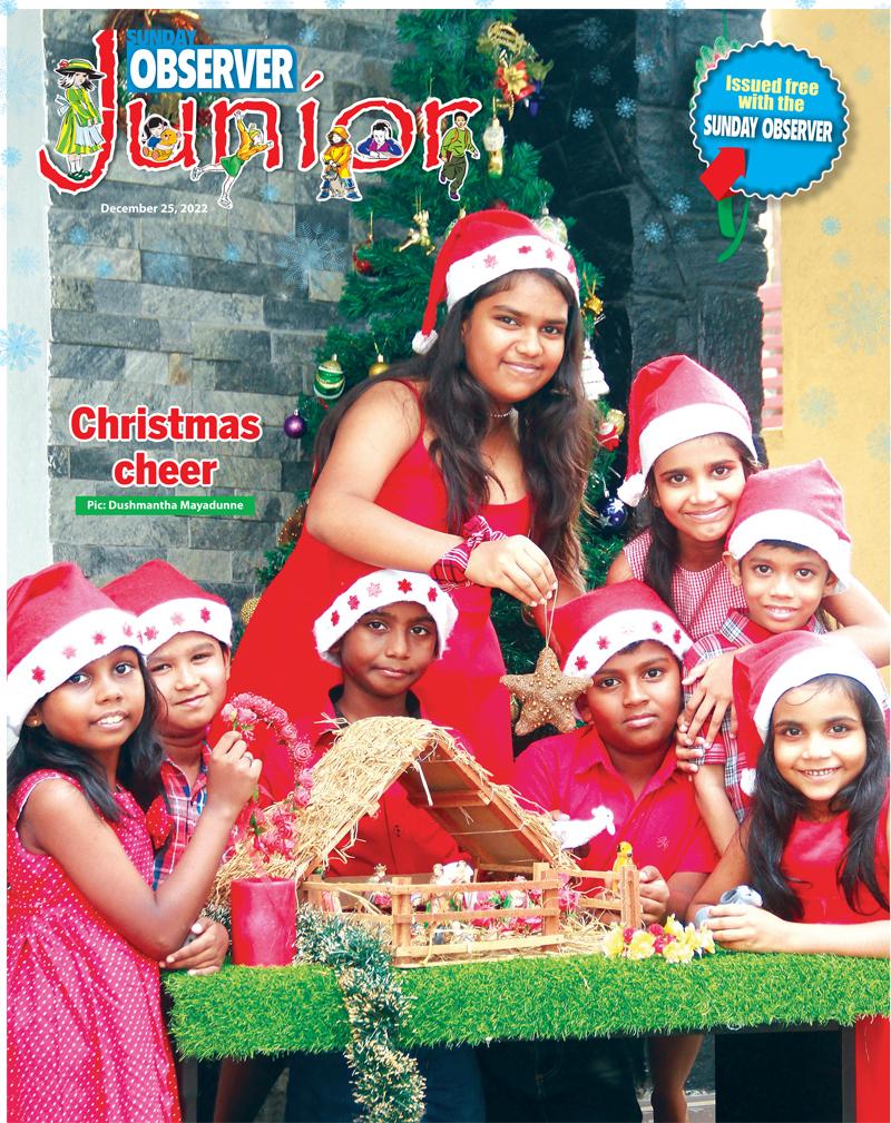 Christmas cheer.  Pic: Dushmantha Mayadunne