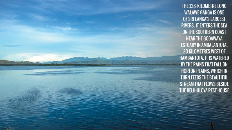 Water of the reservoir seen from the Gonawiddagala circuit bungalow of the Park