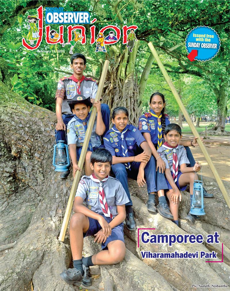 Camporee at Viharamahadevi Park. Pic: Sudath  Nishantha