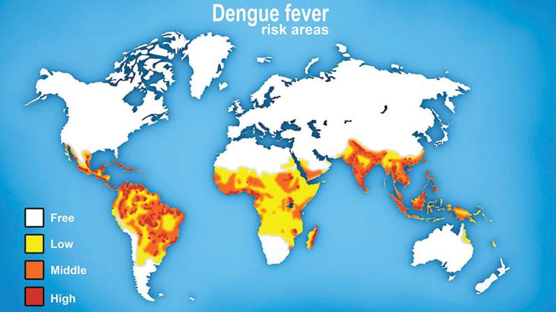 Dengue hotspots in  the world