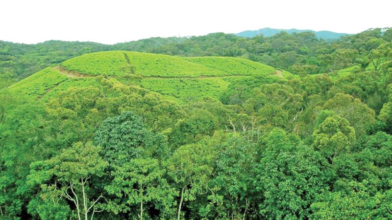 Sri Lanka’s biodiversity