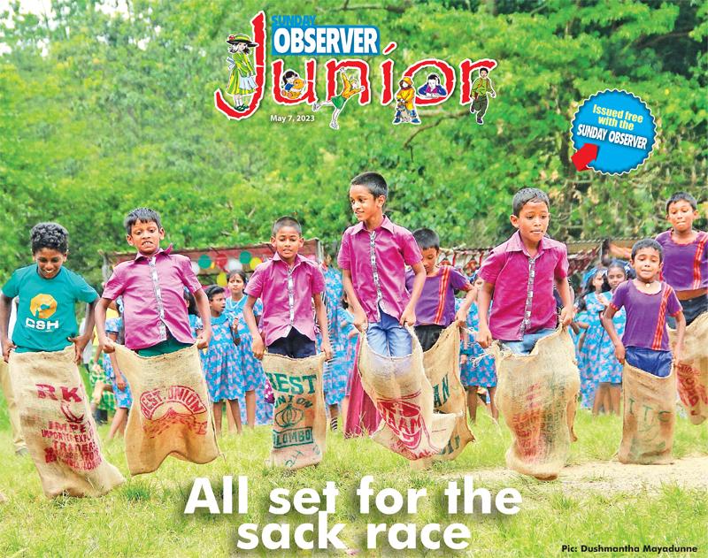 All set for the sack race.  Pic: Dushmantha Mayadunne