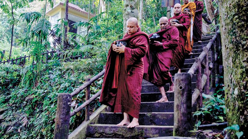 Meditative bhikkhus led by the present chief incumbent walk under the forest canopy for the mid-day meal to the alms hall in the Madakada Aranya