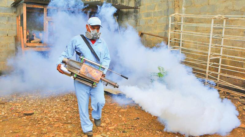 Fogging a mosquito breeding site