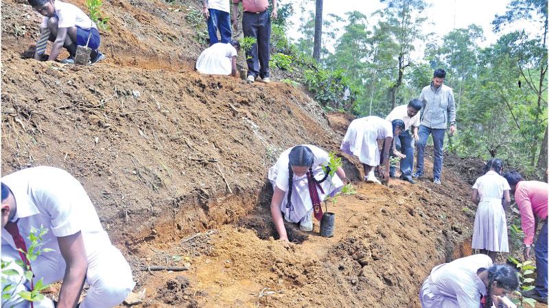 Schoolchildren plant tree saplings