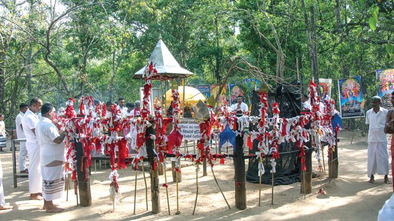 The sacred Siyabala (tamarind) tree believed to be where God Kataragama resides