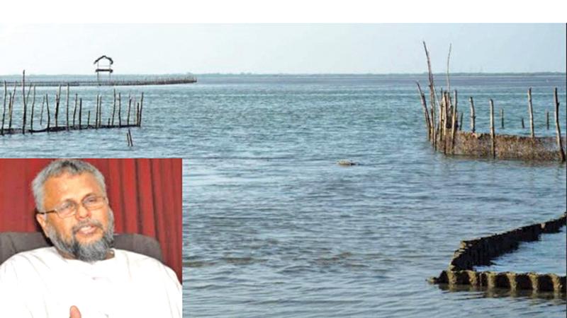 The Government sea cucumber project  in Kilinochchi.  (Inset): Minister Devananda.