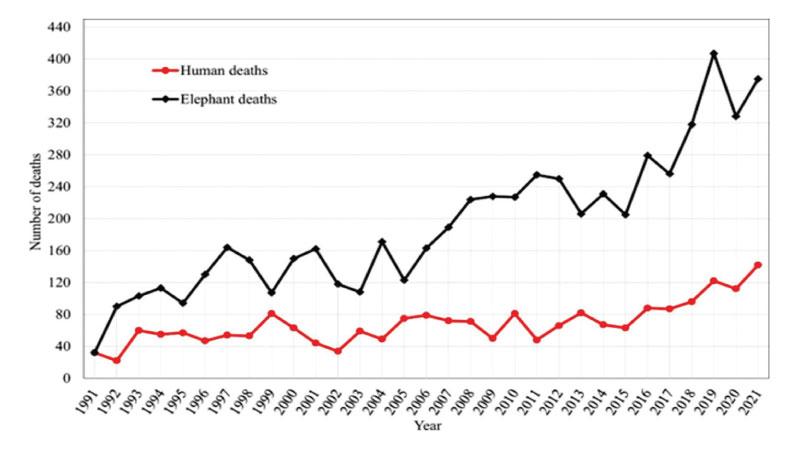 Figure 3: Human and elephant deaths due to HEC in Sri Lanka from 1991 to 2021 Source: Gunawansa, T.D., Perera, K., Apan, A. et al. (2023)